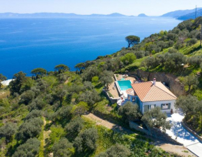 Avgi Villa